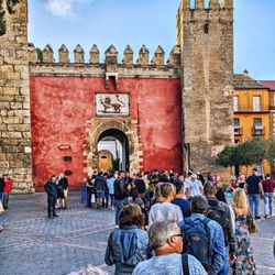 Real Alcázar de Sevilla - Haupttor (09/2026)