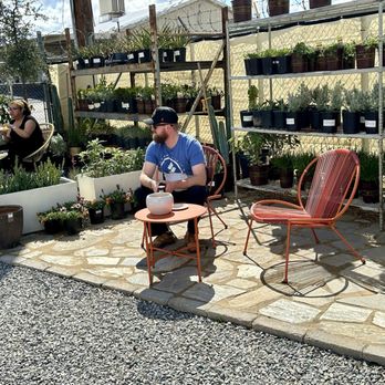 Mojave Bloom Nursery - Home Decor Near Me - Las Vegas, Nevada Mojave Bloom Nursery - Home Decor Near Me - Las Vegas, Nevada