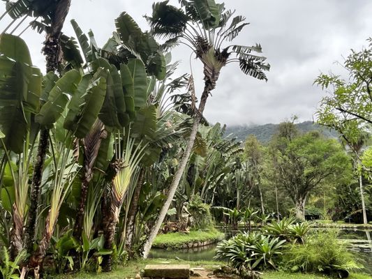 Jardim Botânico by null