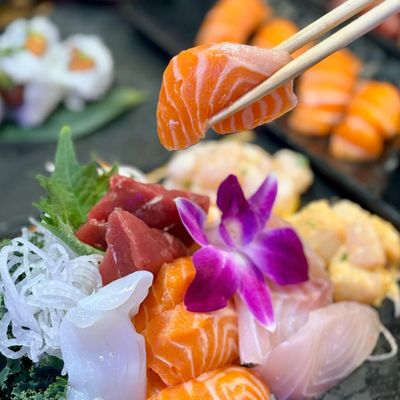 Sushi Damu, PAYCE by null