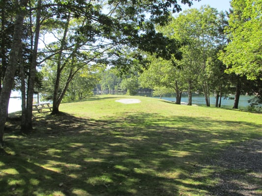 Barrett's Park by null