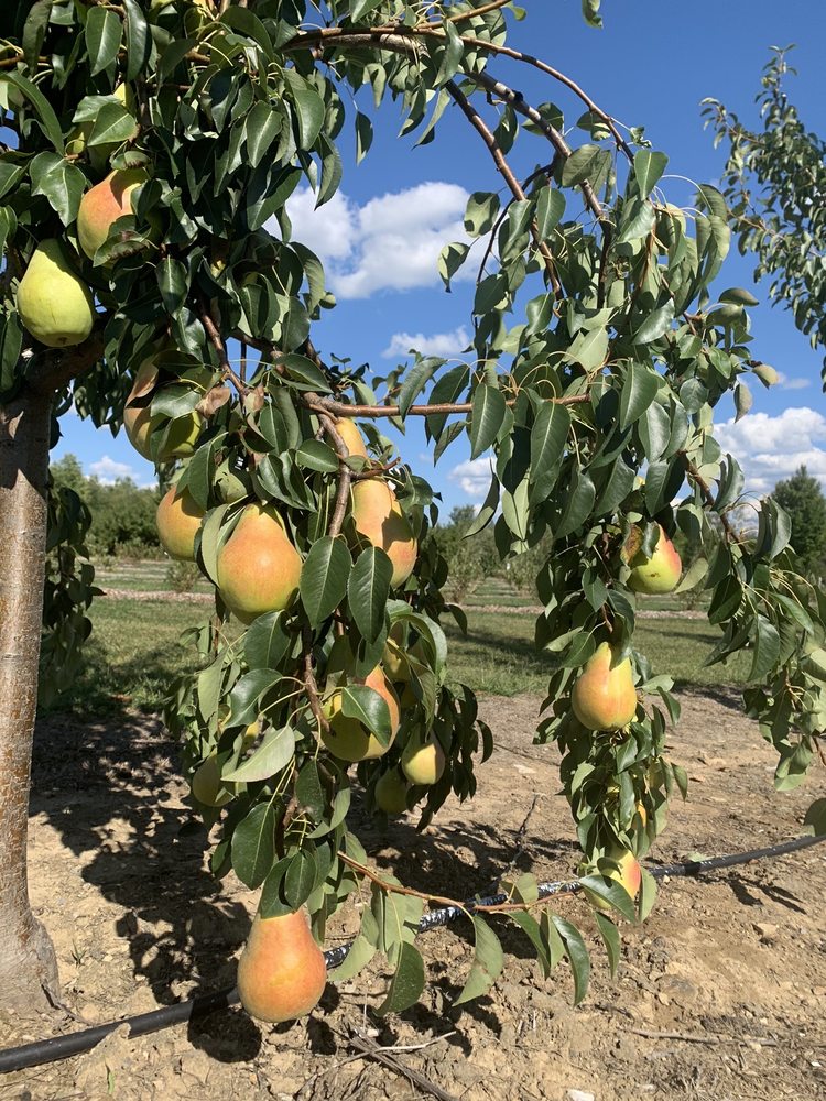 BUTTERNUT FARM Updated September 2024 35 Photos & 31 Reviews 195