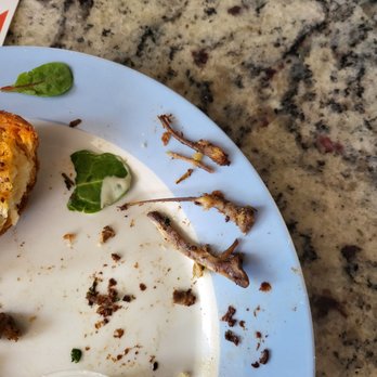 Oyo - Several bones found in the jerk pulled chicken sandwich - Latin American Near Me - Pleasanton, California
