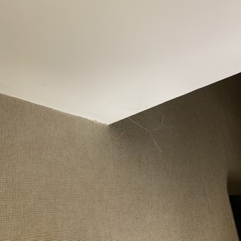 Sheraton Fallsview Hotel - Cobwebs - Hotels Near Me - Niagara Falls, Ontario Sheraton Fallsview Hotel - Cobwebs - Hotels Near Me - Niagara Falls, Ontario