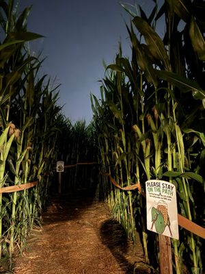Bob's Corn & Pumpkin Farm by null