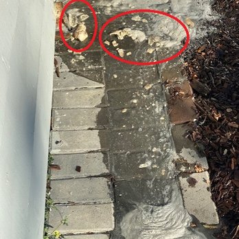 Drain Rooter - Large chunks of calcium deposit blasted out of our sewer - Plumbing Near Me Drain Rooter - Large chunks of calcium deposit blasted out of our sewer - Plumbing Near Me