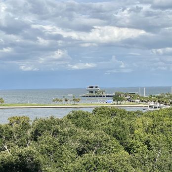 Birchwood Canopy - More views - Bars Near Me - St. Petersburg, Florida
