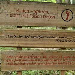 Frillensee - Schild am Waldlehrpfad