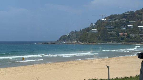 Palm Beach by null