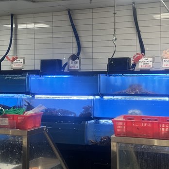 H Mart - Austin - A live King crab for sale - Grocery Near Me - Austin, Texas H Mart - Austin - A live King crab for sale - Grocery Near Me - Austin, Texas