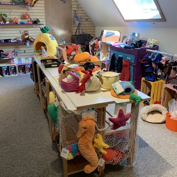 Pawcasso Art Studio and Pet Boutique - Cute! - Art Classes Near Me - Westhampton Beach, New York Pawcasso Art Studio and Pet Boutique - Cute! - Art Classes Near Me - Westhampton Beach, New York