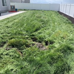 Lawn Thumbs