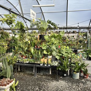 Plants Alive! - Nurseries & Gardening Near Me - Silver Spring, Maryland