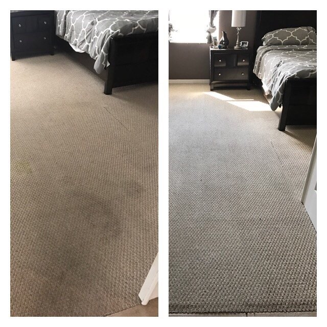 ISLAND CARPET CLEANING Updated October 2024 1255 Lucaya Cir