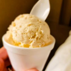 Kip's Ice Cream - Apple Pie Ice Cream