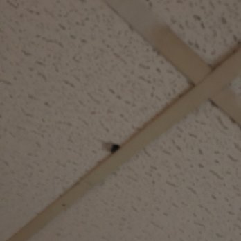 Simmons Motel - Hole in ceiling over bed. Looked to be a peephole of some sort - Hotels Near Me - Hershey, Pennsylvania Simmons Motel - Hole in ceiling over bed. Looked to be a peephole of some sort - Hotels Near Me - Hershey, Pennsylvania