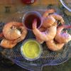 Shuckers Half-Shell Oyster Bar gift card