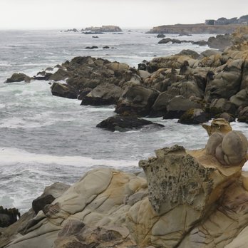 Gualala Point Regional Park - Parks Near Me - Gualala, California