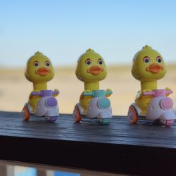 Duck Duck ScootZ