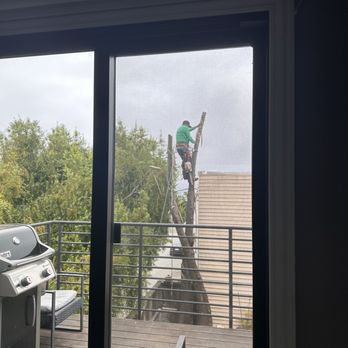 MS Tree Service - Tree Services Near Me - Burton, Ohio MS Tree Service - Tree Services Near Me - Burton, Ohio