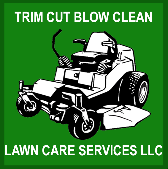 Trim Cut Blow Clean - tree service in Houston, TX