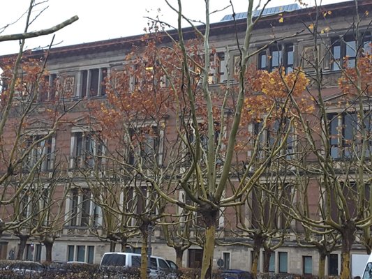 Gropius Bau by null