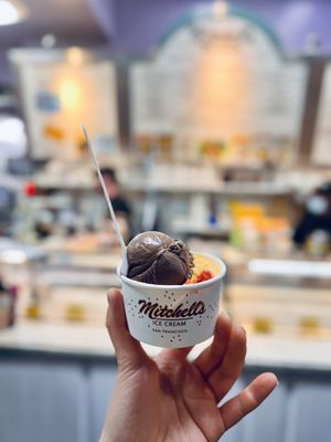 Mitchell's Ice Cream by null