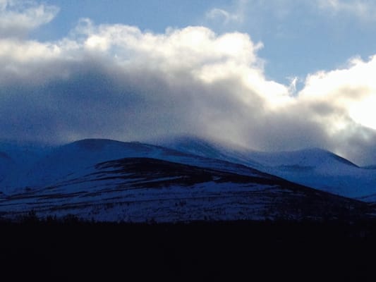 Rothiemurchus by null