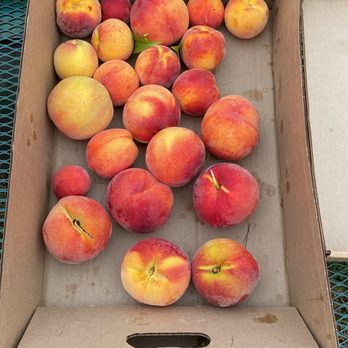Grossen Peaches - Fruits & Veggies Near Me - Hillsboro, Oregon Grossen Peaches - Fruits & Veggies Near Me - Hillsboro, Oregon
