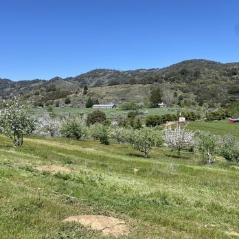 Volcan Mountain Winery - The view at Volcan Mountain - Wineries Near Me - Julian, California Volcan Mountain Winery - The view at Volcan Mountain - Wineries Near Me - Julian, California