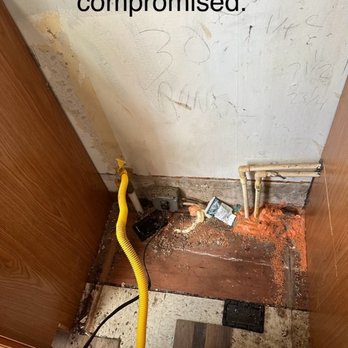 Home Shield Pest Solutions - Pest Control Near Me