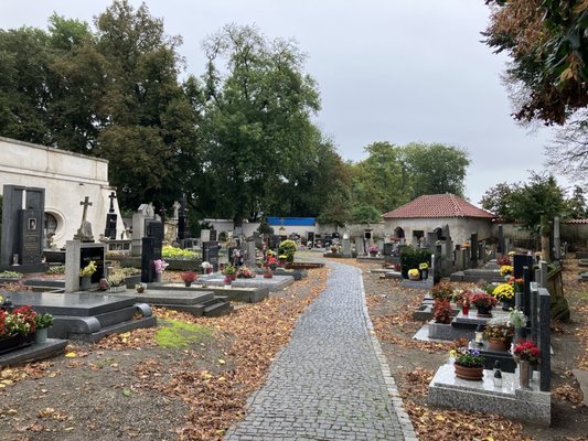 Sedlec Ossuary by null