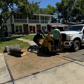 Kens Affordable Tree Service - Tree Services Near Me - Saint Louis, Missouri Kens Affordable Tree Service - Tree Services Near Me - Saint Louis, Missouri
