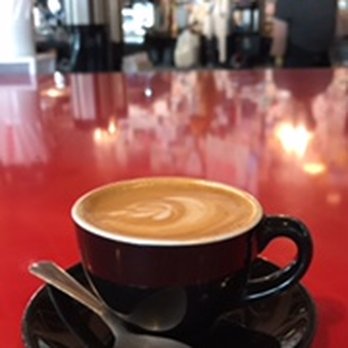 The Coffee Fox - Cortado - Coffee & Tea Near Me - Savannah, Georgia The Coffee Fox - Cortado - Coffee & Tea Near Me - Savannah, Georgia