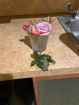 SOLERA AT WEST HOUSTON - Updated July 2025 - 28 Photos & 36 Reviews