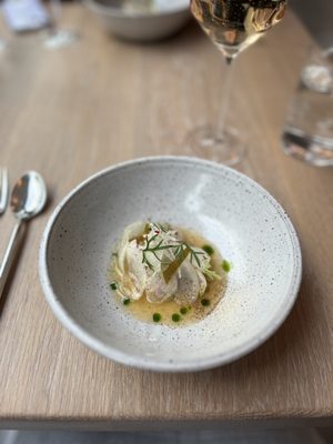 Oyster Oyster by null