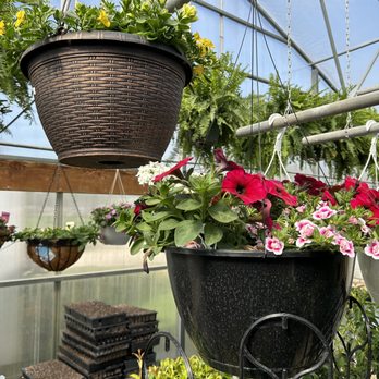 Yutzy Greenhouse - Nurseries & Gardening Near Me - Decatur, Iowa
