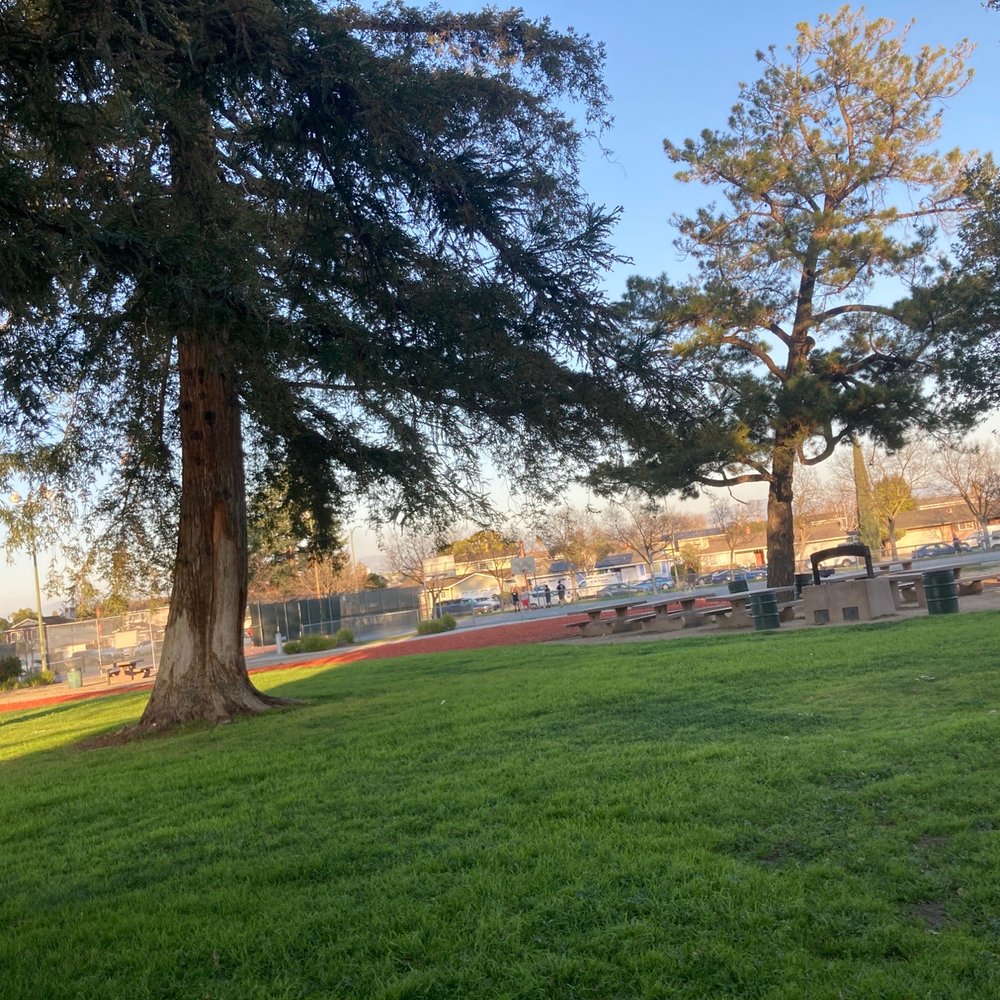 Paul Moore Park - Basketball courts - Parks Near Me Paul Moore Park - Basketball courts - Parks Near Me