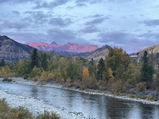 Buckshot Honey by null