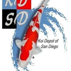 Koi Depot of San Diego