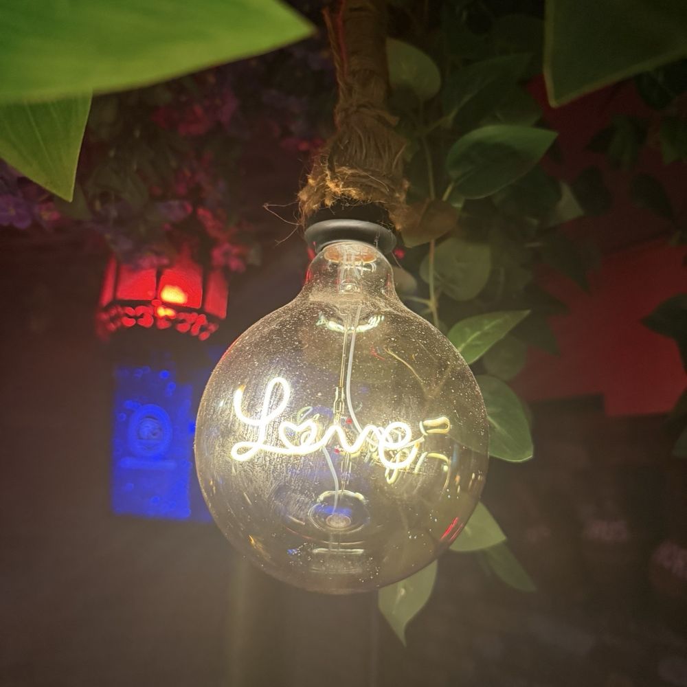 Cute Light Bulbs Cute Light Bulbs