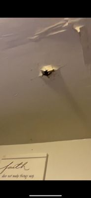 Mainline Plumbing Service