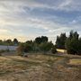 Photo of Valencia Landscaping and Tree Services
