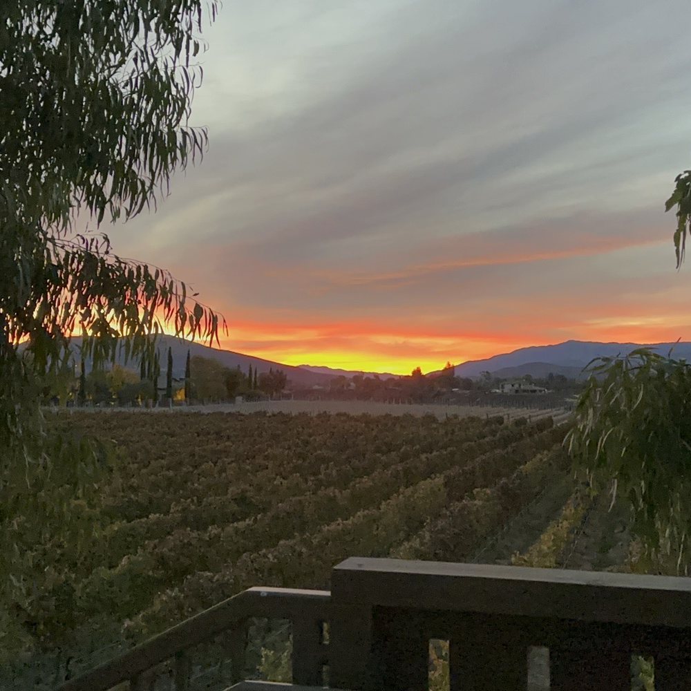 Ponte Vineyard Inn - Sunrise - Hotels Near Me - Temecula, California Ponte Vineyard Inn - Sunrise - Hotels Near Me - Temecula, California