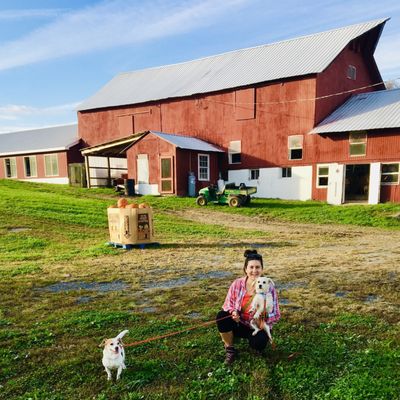 Freedom Hill Farm by null