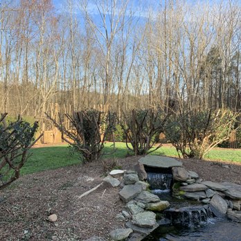 VCD Tree Services - Tree was removed and bushes trimmed down low as requested. - Tree Services Near Me VCD Tree Services - Tree was removed and bushes trimmed down low as requested. - Tree Services Near Me