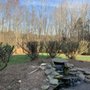 Photo of VCD Tree Services