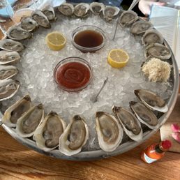 Oysters Oysters