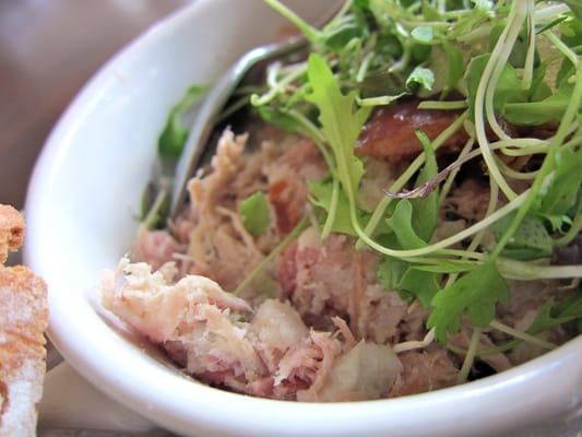 The Pig’s Ear Dublin by null