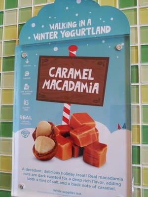 Yogurtland Dallas by null